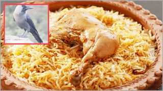 ‘কাউয়া বিরিয়ানি’ খেয়ে আনন্দিত সাধারণ মানুষ!